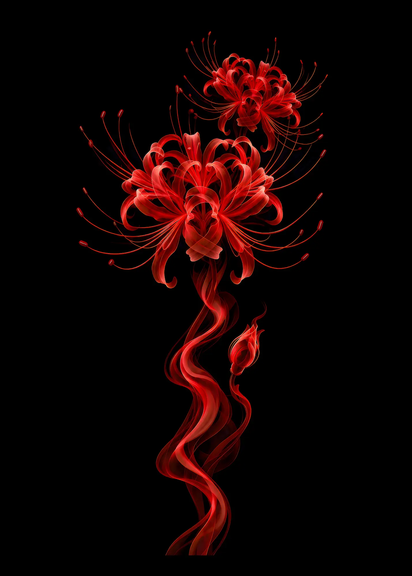 Lis araignée rouge, fleur japonaise en fumée sur fond noir - Kek-Ina